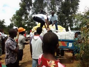 33787579863132564687661231848625879023905011n